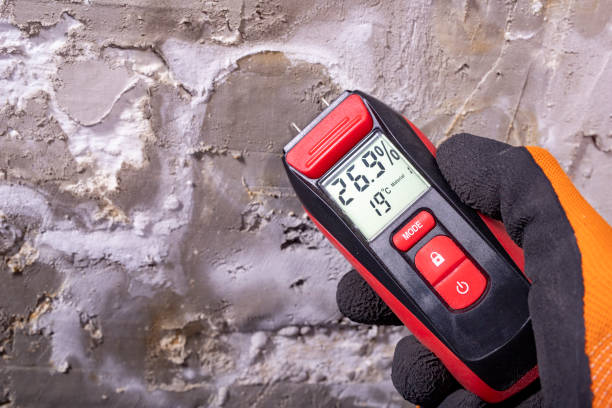 Best DIY Mold Remediation Support Services in Pinch, WV